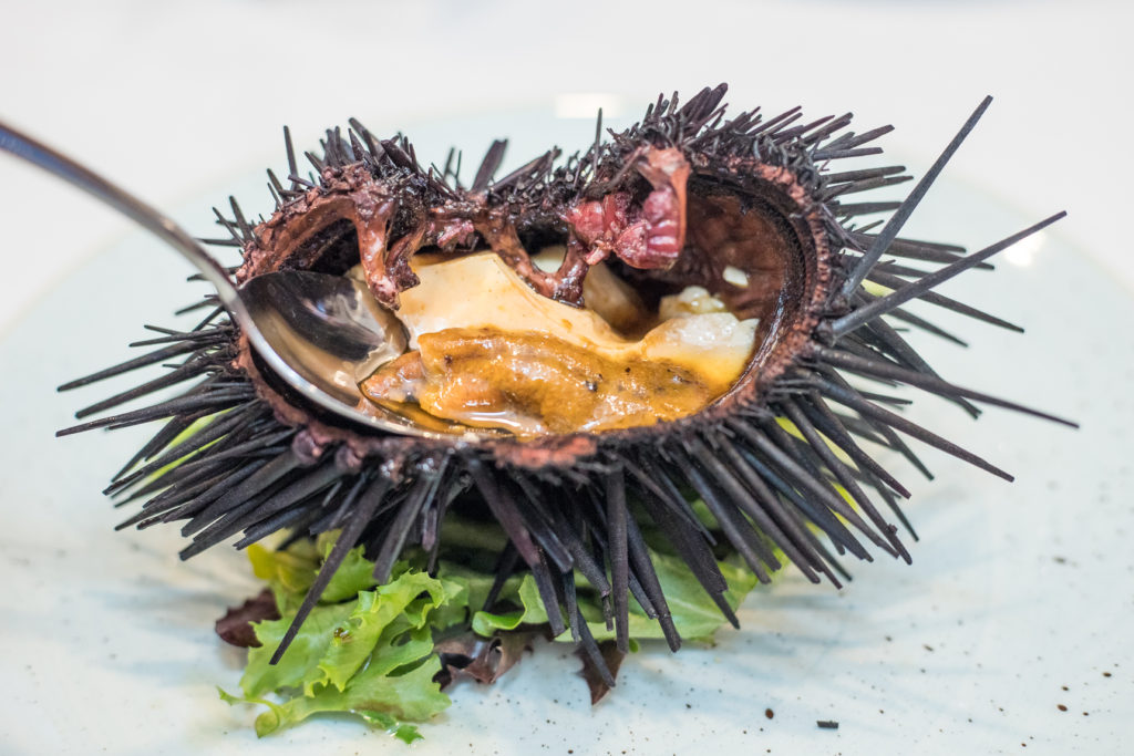 Sea urchin steamed with eg
